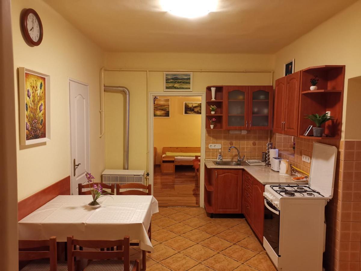 Viktor Vendeghaz Apartment Tokaj Ngoại thất bức ảnh