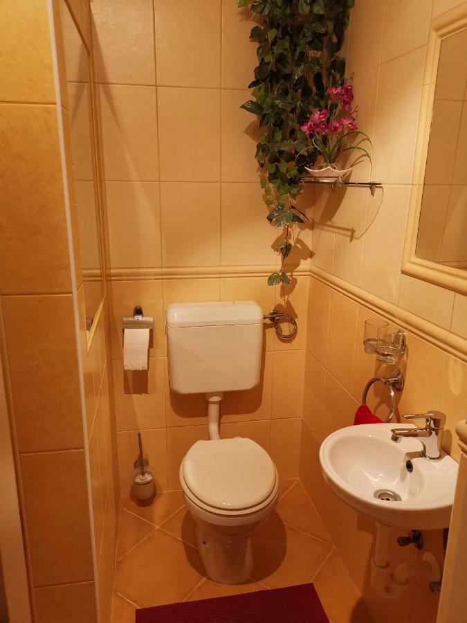 Viktor Vendeghaz Apartment Tokaj Ngoại thất bức ảnh